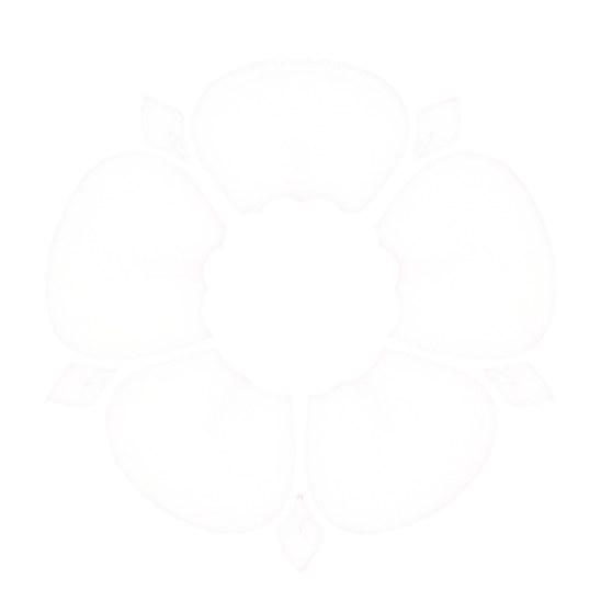 YSIF logo